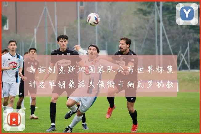乌兹别克斯坦国家队公布世界杯集训名单胡桑诺夫领衔卡纳瓦罗执教
